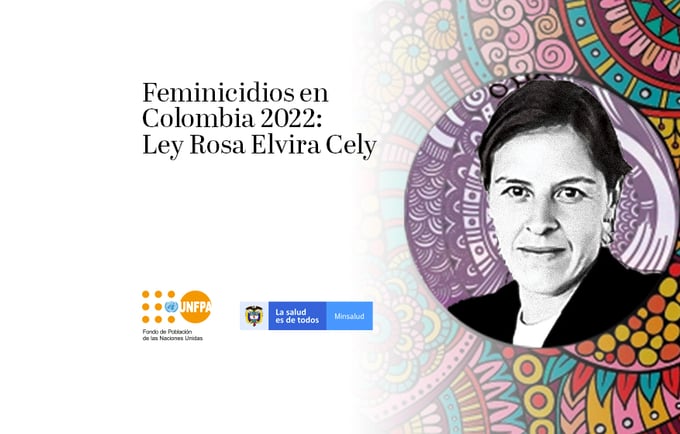 Feminicidios en Colombia 2022: Ley Rosa Elvira Cely