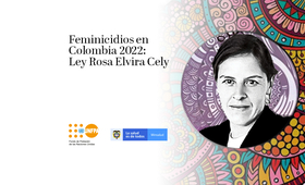 Feminicidios en Colombia 2022: Ley Rosa Elvira Cely