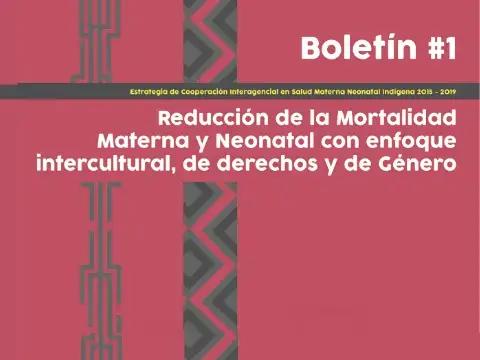 Boletín #1 Reducción de la Mortalidad Materna y Neonatal con enfoque intercultural, de derechos y de género