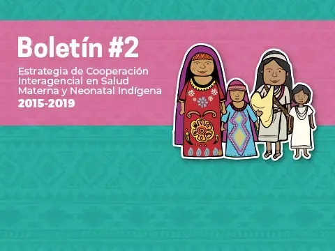 Boletín No. 2. Estrategia de Cooperación Interagencial en Salud Materna y Neonatal Indígena 2015-2019. Reducción de la mortalidad materna y neonatal con enfoque etnocultural, de derechos y de género