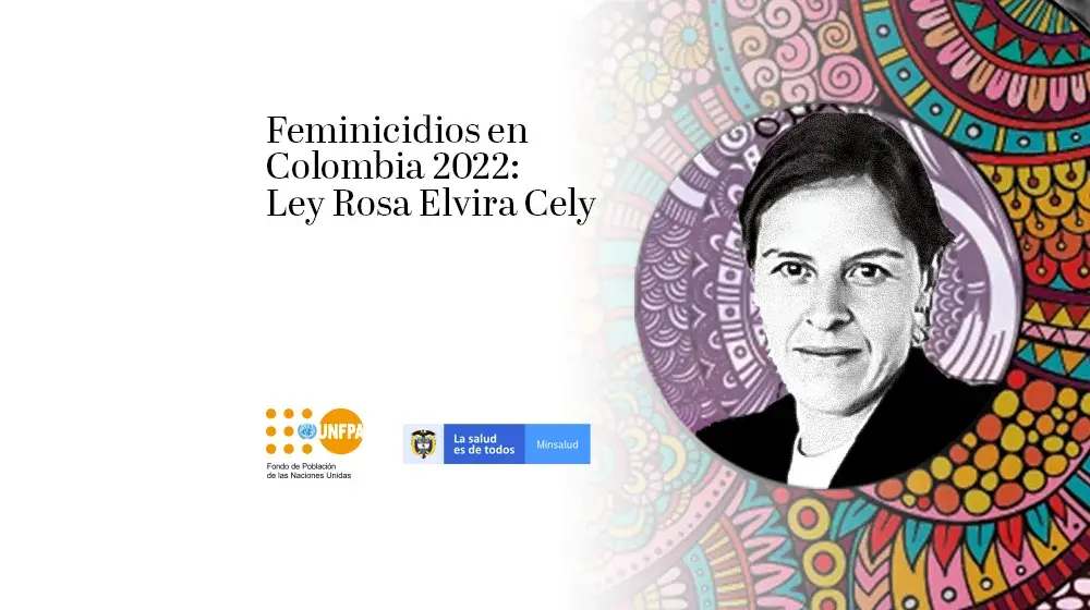 Feminicidios en Colombia 2022: Ley Rosa Elvira Cely