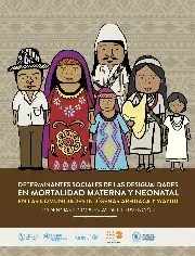 Determinantes Sociales de las Desigualdades en Mortalidad Materna y Neonatal en las Comunidades Indígenas Arhuaca y Wayuu