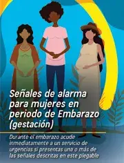 Plegable Señales de Alarma para Mujeres en Periodo de Embarazo (gestación)