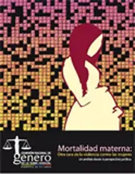 Mortalidad materna: otra cara de la violencia contra la mujer