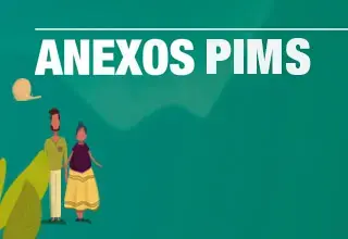 Anexos "Guía Práctica para la Implementación del Paquete Inicial Mínimo de Servicios para la Salud Sexual y Reproductiva en Situaciones de Crisis Humanitarias - PIMS - Colombia