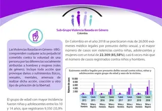 Fact-Sheet Sub-Grupo Violencia Basada en Género 2018