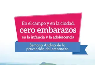 Plegable Situación del Embarazo en la Infancia y Adolescencia en Colombia. Una Aproximación a la Ruralidad